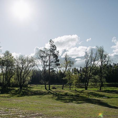 "Gaujmale" Sauna House In Nature Ilkene Exterior foto