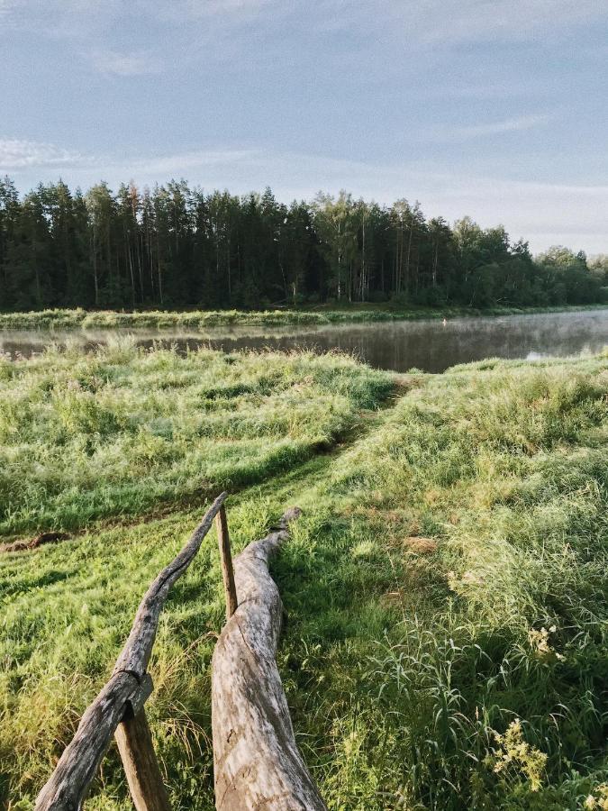 "Gaujmale" Sauna House In Nature Ilkene Exterior foto