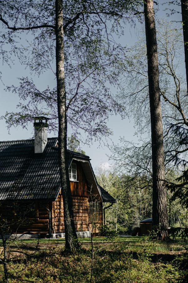 "Gaujmale" Sauna House In Nature Ilkene Exterior foto