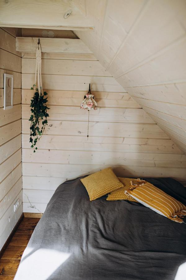 "Gaujmale" Sauna House In Nature Ilkene Exterior foto