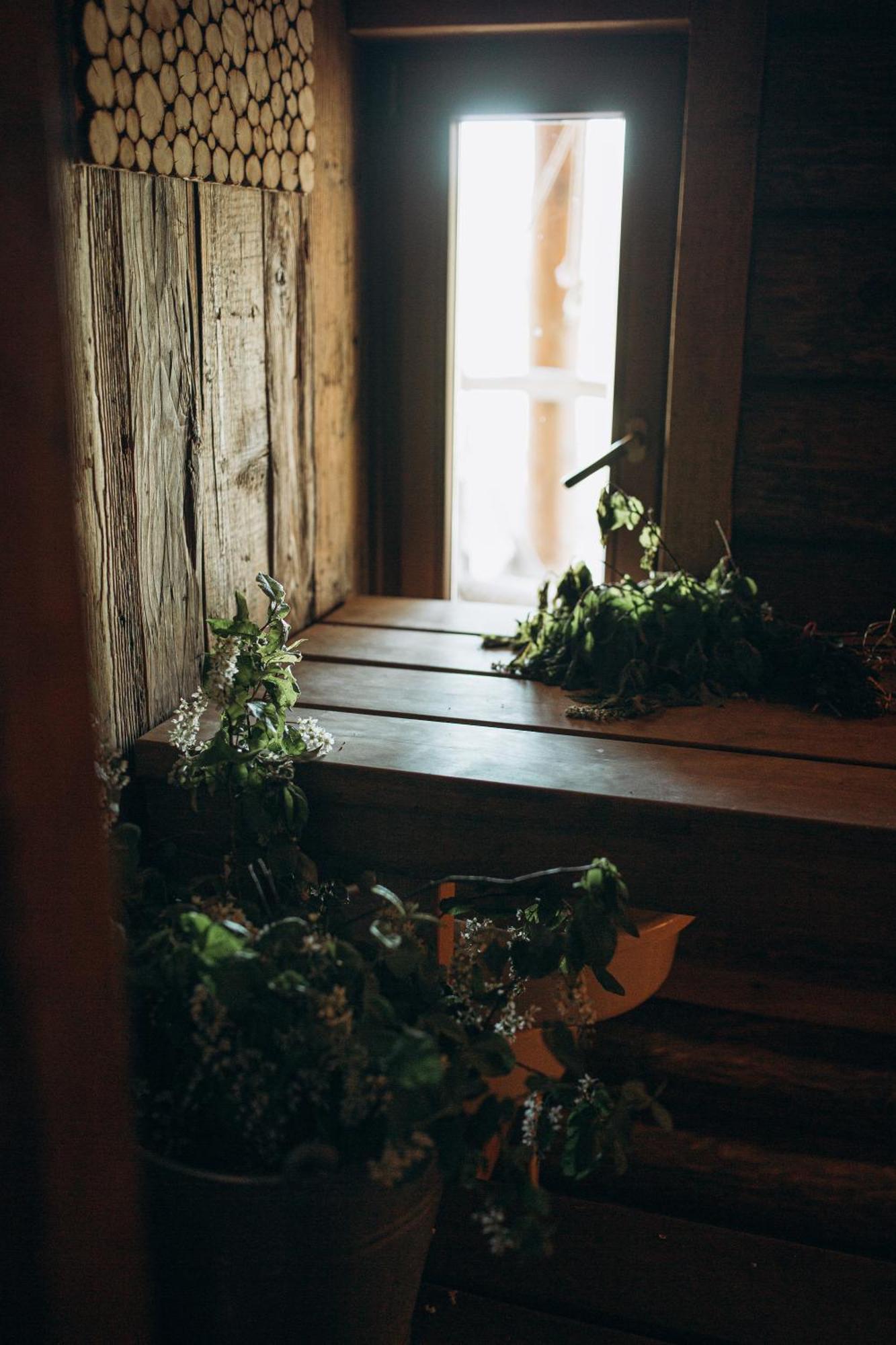 "Gaujmale" Sauna House In Nature Ilkene Exterior foto